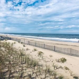 Meet your Posher, Laurette conkling